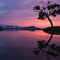 NIKON(ニコン)のデジタル一眼D750 で撮影した写真(画像)一覧- 写真共有