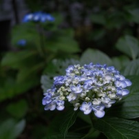 FUJIFILM(富士フイルム)のレンズ フジノンレンズ XF23mmF2.8 R WR