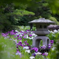 CANON(キヤノン)のレンズ EF200mm F2.8L II USM で撮影した写真(画像