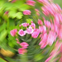 NIKON(ニコン)のデジタル一眼D5000 で撮影した写真(画像)一覧- 写真