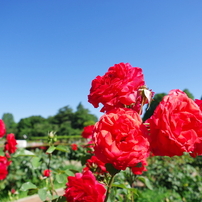 PENTAX(ペンタックス)のレンズ HD PENTAX-DA☆ 11-18mmF2.8ED DC AW で