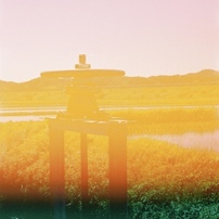⭐️超美品・Nikomat FTN・作例有り⭐️ NIKON(ニコン)のフィルムカメラNikomat FTN で撮影した写真(画像)一覧