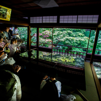 CANON(キヤノン)のレンズ EF17-40mm F4L USM で撮影した写真(画像)一覧