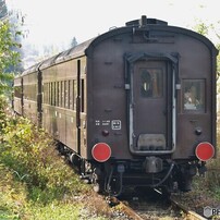 SIGMA(シグマ)のレンズ 55-200mm F4-5.6 DC (ﾌｫｰｻｰｽﾞ) で撮影した写真