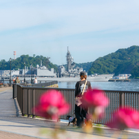 NIKON(ニコン)のレンズ AF-S DX NIKKOR 55-200mm f/4-5.6G ED VR II で
