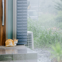 CANON(キヤノン)のレンズ EF50mm F1.8 II で撮影した写真(画像)一覧