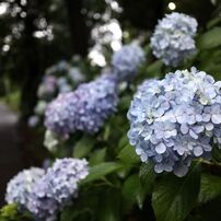 CANON(キヤノン)のレンズ EF-M22mm F2 STM [シルバー] で撮影した写真