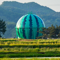 CANON(キヤノン)のレンズ EF300mm F2.8L IS USM で撮影した写真(画像