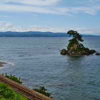 背景をうっとりボカしたい時は、コレ！☆LUMIX G 25mm F1.7 Amazon.co