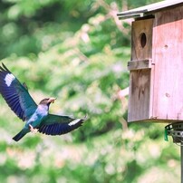 SIGMA(シグマ)のレンズ 150-600mm F5-6.3 DG OS HSM Contemporary