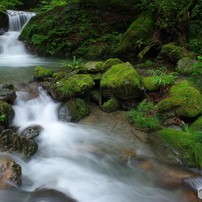 PENTAX(ペンタックス)のレンズ smc PENTAX-DA☆ 16-50mm F2.8ED AL[IF