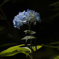 PANASONIC(パナソニック)のレンズ LUMIX G VARIO 45-200mm/F4.0-5.6