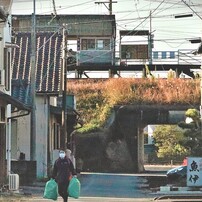 CANON(キヤノン)のミラーレス一眼EOS Kiss M で撮影した写真(画像)一覧