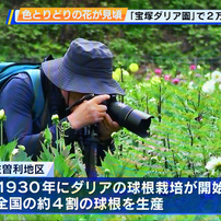 NIKON(ニコン)のレンズ AF-S NIKKOR 24-70mm f/2.8E ED VR で撮影した