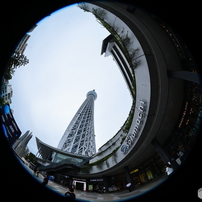 CANON(キヤノン)のレンズ EF8-15mm F4L フィッシュアイ USM で撮影した
