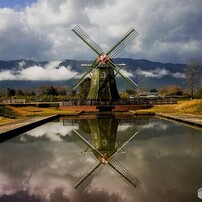 SIGMA(シグマ)のレンズ 17-50mm F2.8 EX DC OS HSM [ニコン用] で撮影