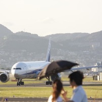 Airplane