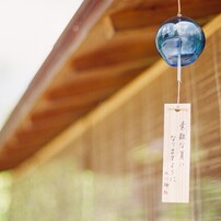 NIKON(ニコン)のフィルムカメラFE で撮影した写真(画像)一覧- 写真共有