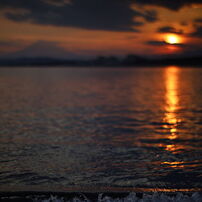 CANON(キヤノン)のレンズ EF50mm F1.2L USM で撮影した写真(画像)一覧