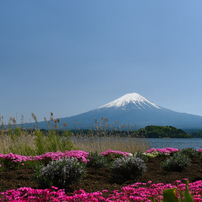 NIKON(ニコン)のレンズ AF-S DX NIKKOR 18-140mm f/3.5-5.6G ED VR で