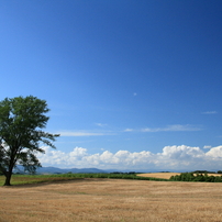 2011　夏　北海道