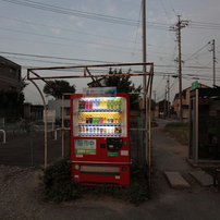 朝の自販機