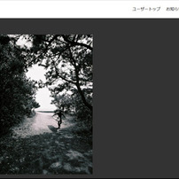 NIKON(ニコン)のフィルムカメラFフォトミックFTN で撮影した写真(画像
