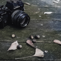 動作確認済 M.ZUIKO DIGITAL 25mm F1.8おまけ付作例あり OLYMPUS(オリンパス)のレンズ M.ZUIKO DIGITAL 25mm F1.8 [ブラック