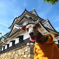 愛犬と彦根城