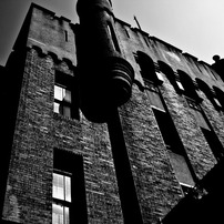 白黒の世界