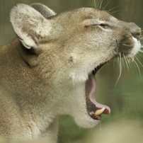 盛岡市動物公園　１