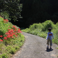 棚田探検