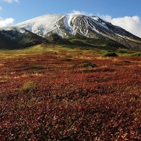 大雪山旭岳の紅葉