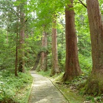 参道