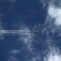 AIRLINE