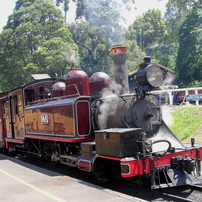 SANYO(サンヨー)のビデオカメラXacti DMX-C1 で撮影した写真(画像)一覧