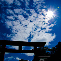 Walking in　kyoto