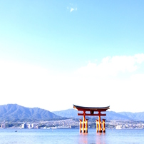 鳥居×水色