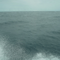 佐渡2011