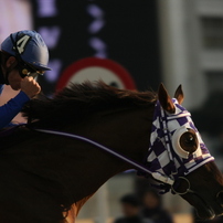 競馬のお写真