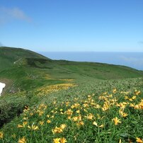 山の記録