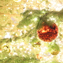 Illuminate Light