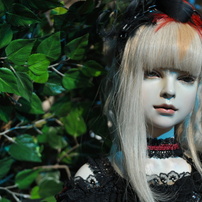Elise