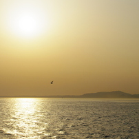 SCENERY