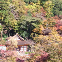 2011秋　談山神社遠景。