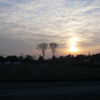 IMGP0938