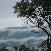 白神山地の写真 画像 写真集 写真共有サイト Photohito