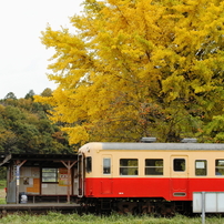 小湊鉄道の風景