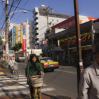 散歩道