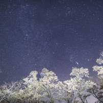 2011 夜空に描く浪漫